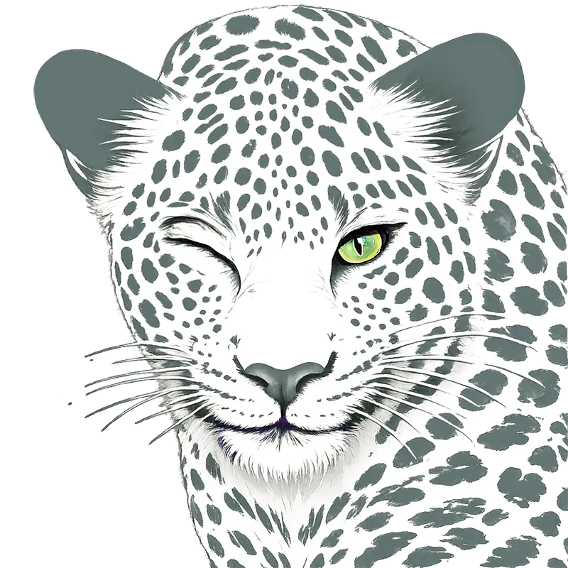 illustration léopard regard site internet Studio Web Paris