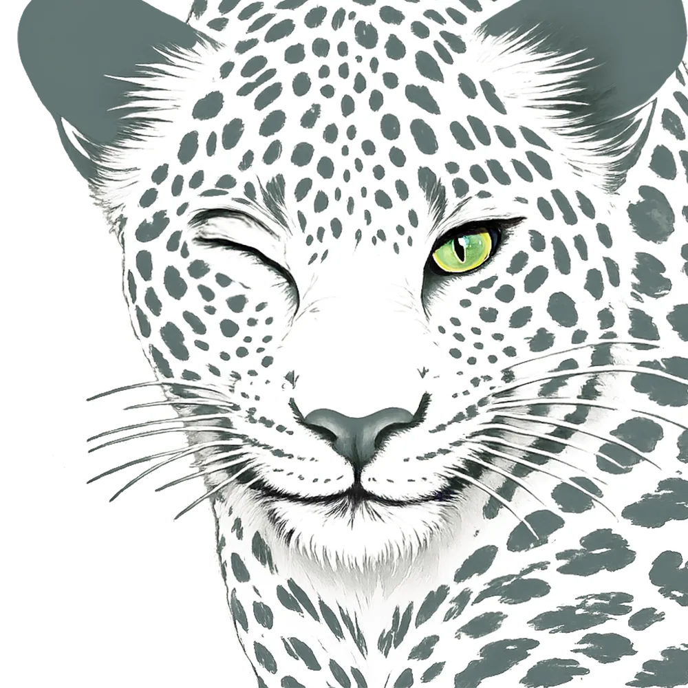 illustration léopard regard site internet Studio Web Paris