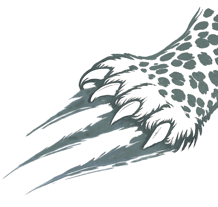 ServicesStudioWebParis illustration griffe identité visuelle site internet Studio Web Paris