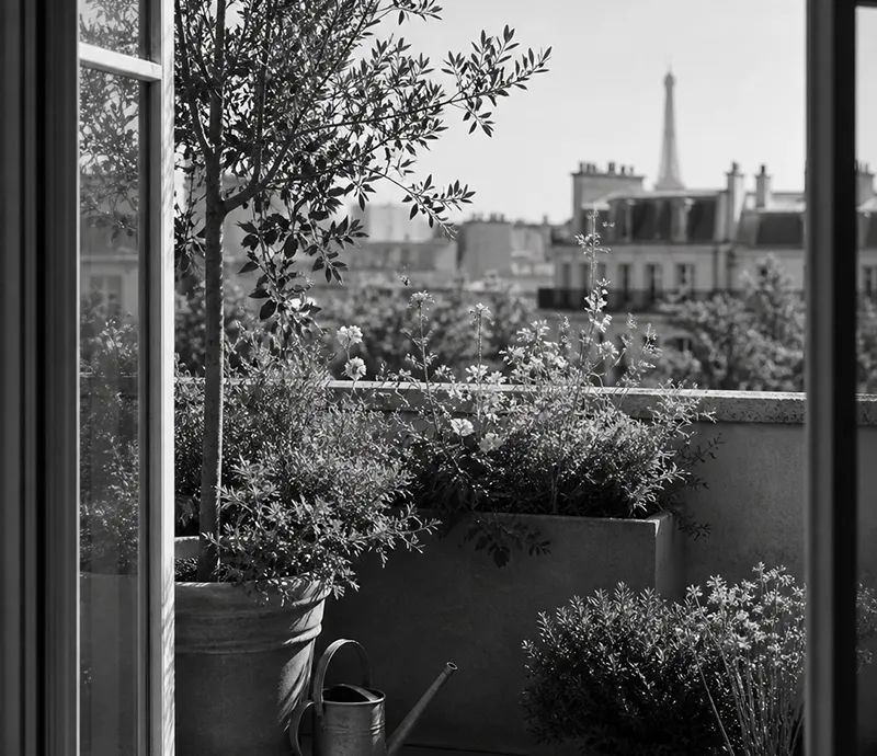 l&rsquo;atelier botanique